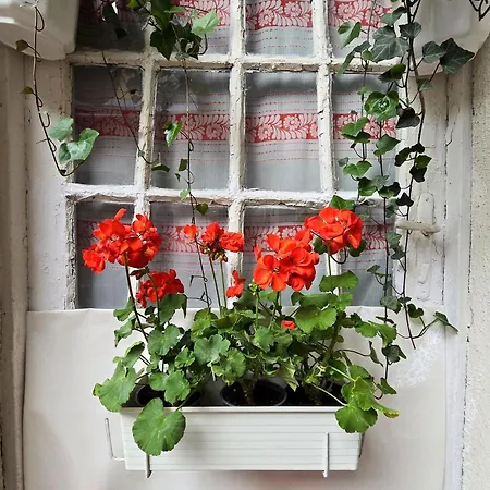 Cozy Nest Hideaway *