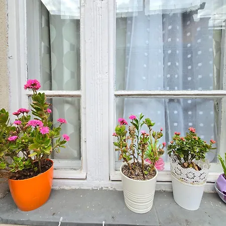Cozy Nest Hideaway Near Grand Boulevard Bus Line 9 Budapest